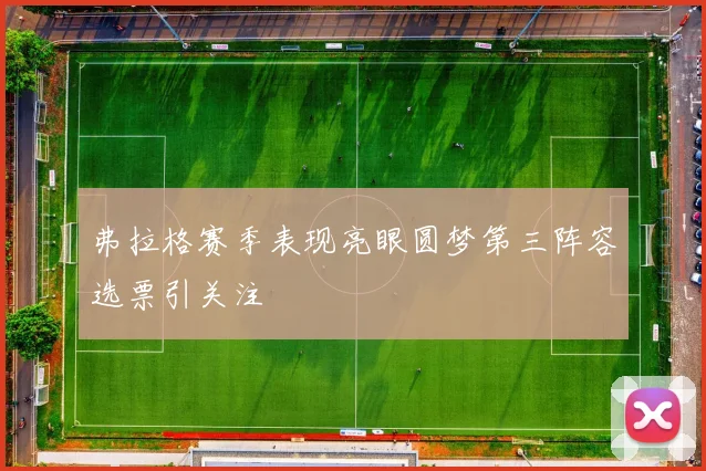 弗拉格赛季表现亮眼圆梦第三阵容选票引关注