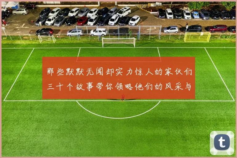 那些默默无闻却实力惊人的家伙们三十个故事带你领略他们的风采与传奇